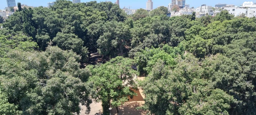 דירה, המלך ג'ורג' 28, לב תל אביב, לב העיר צפון, תל אביב יפו