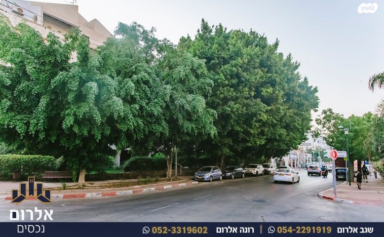 דירה, כפר סבא