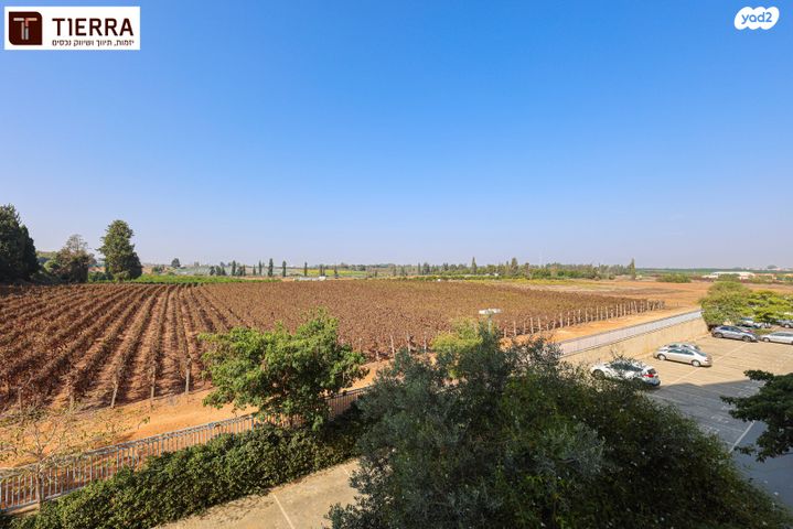 דירה, רמת אמיר, קדימה צורן