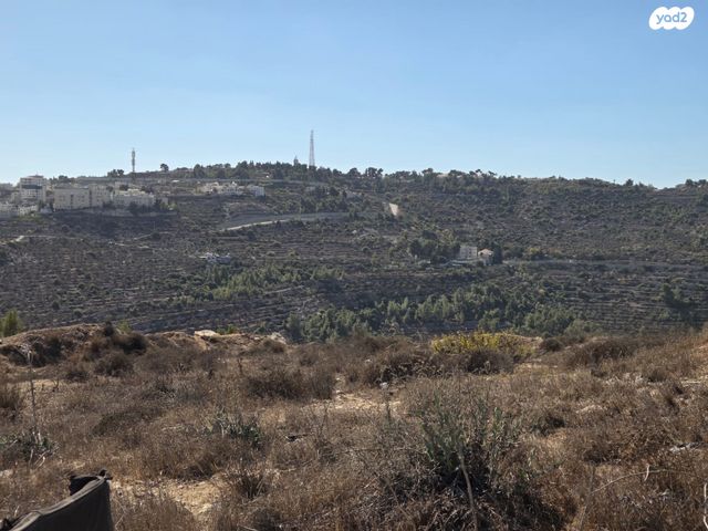 דירה, גילה, ירושלים