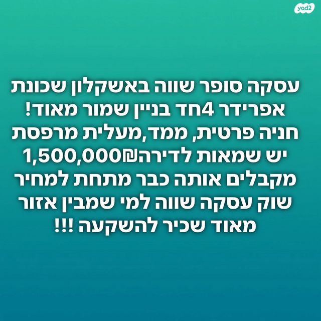 דב ברייר 