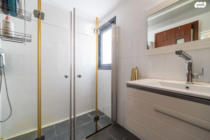 גג/ פנטהאוז, לודיוב 3, פתח תקווה