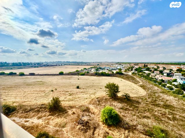 רחובות הצעירה