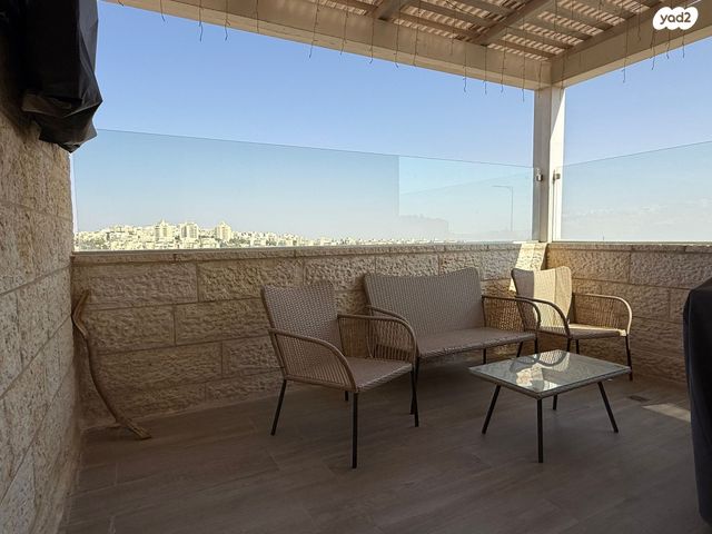 דירה, צמח השדה, מעלה אדומים