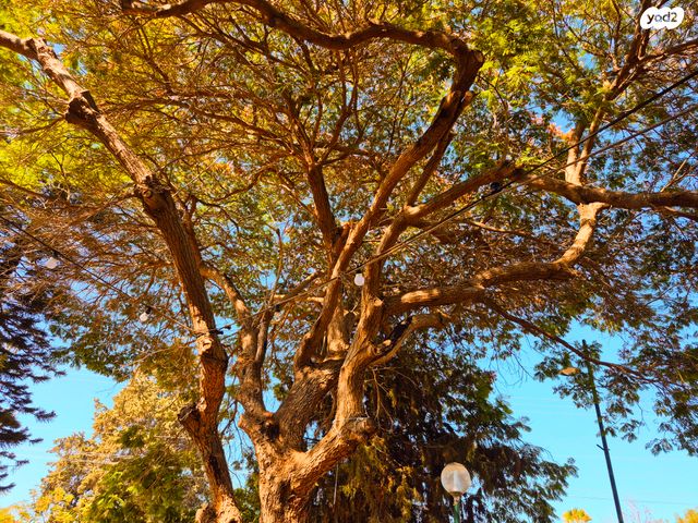 דו משפחתי, מתן, מתן