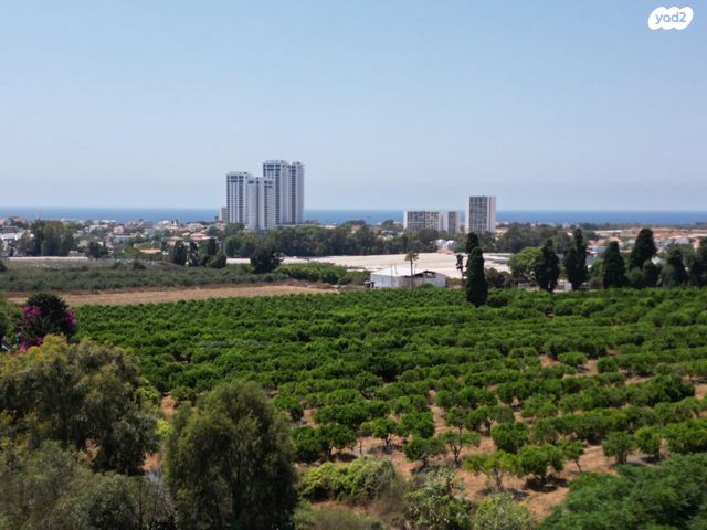 מגרשים, נתניה