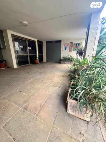 דירה, עפולה