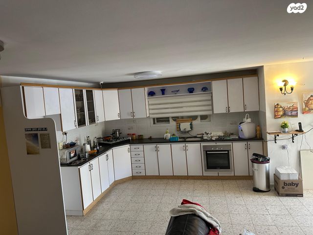 דירת גן, שפרינצק, דרום, צפת