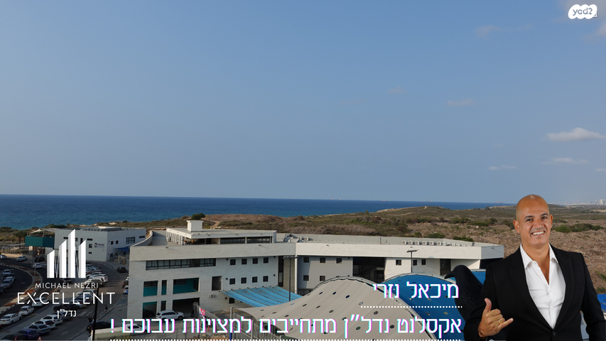 עיר ימים / הבלוט