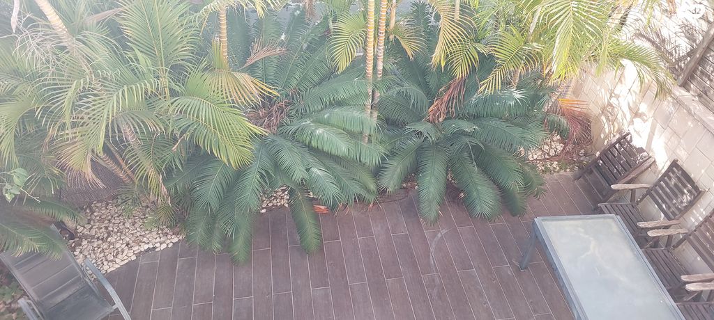 בית פרטי/ קוטג', שער הים, ראשון לציון