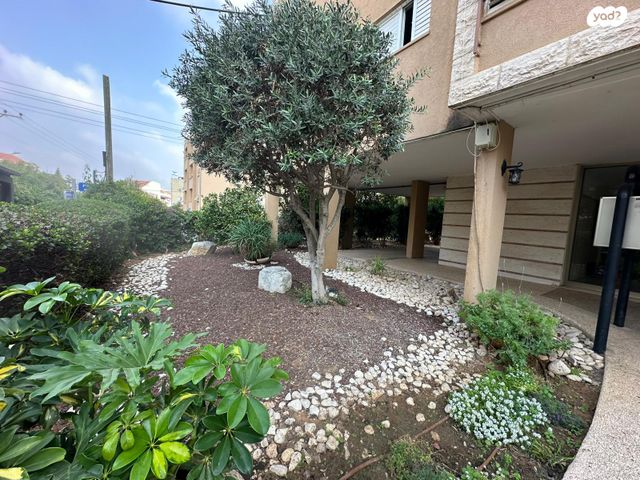 דירה, הרצליה