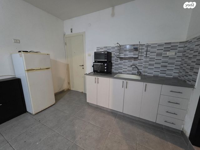 יהושע חנקין 