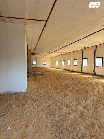 כללי, בן גוריון, חולון