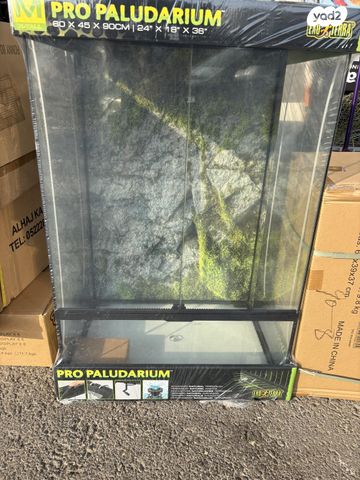 תמונת מודעה - חיות מחמד