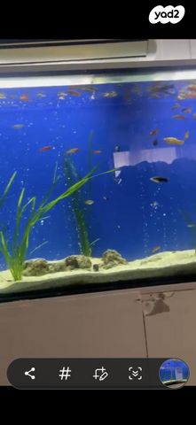 אביזרים | אקווריום