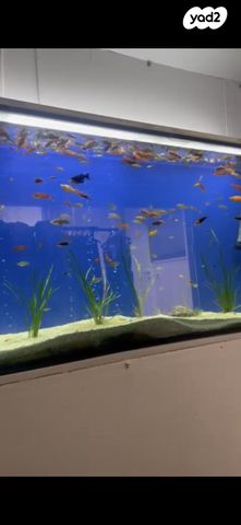 אביזרים | אקווריום