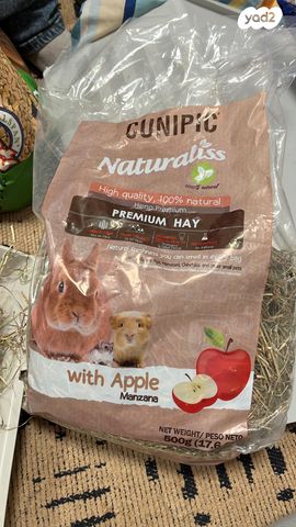 מכרסם ארנב ננסי