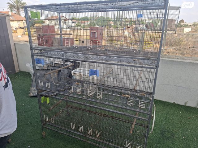 אביזרים | כלוב