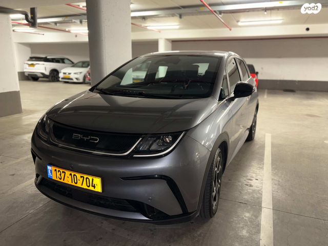 בי.ווי.די דולפין