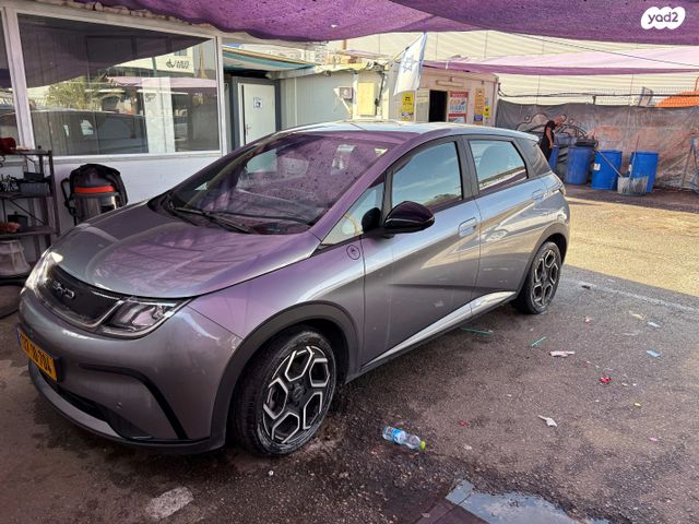 בי.ווי.די דולפין