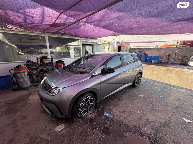 בי.ווי.די דולפין