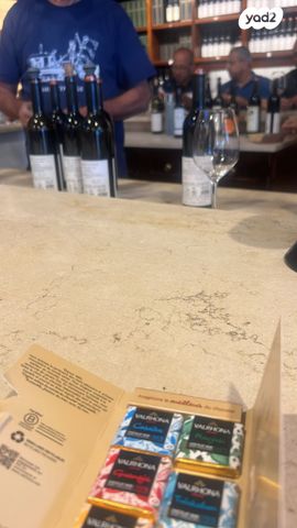 תעשיות רכב סופה