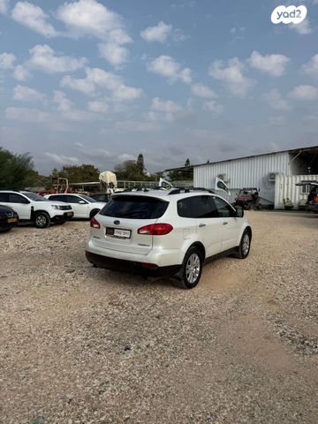 סובארו טריבקה