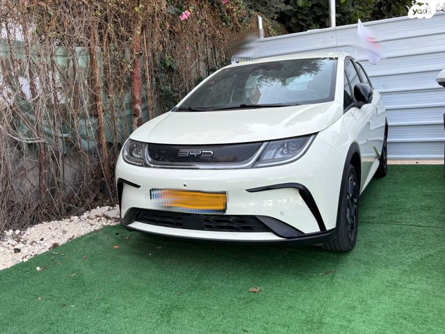 מודעת רכב בי.ווי.די דולפין