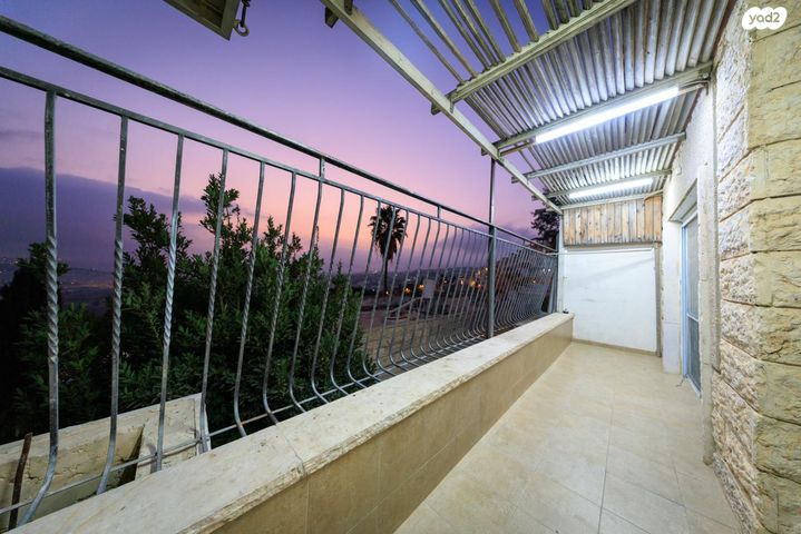 חיים גרינברג 1355