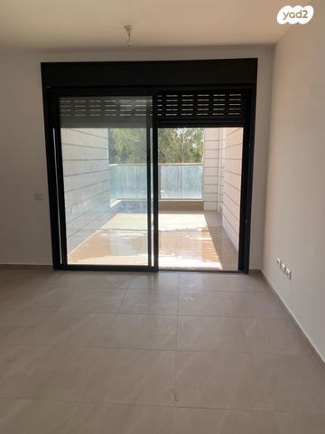 רועי קליין 6