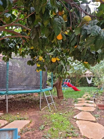 בית פרטי/ קוטג', שדרות האמירים 39, קציר, קציר