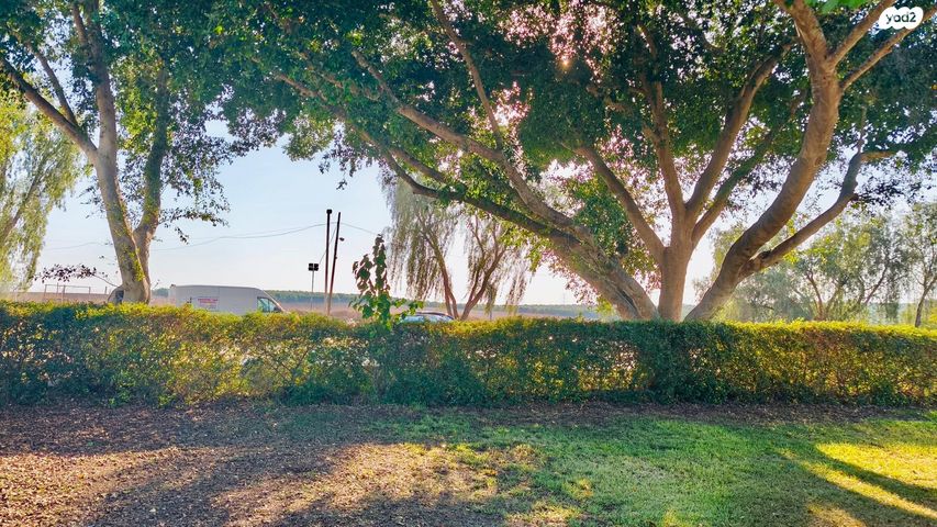 דירה, נגבה 1, נגבה, נגבה