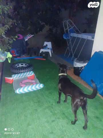 דו משפחתי, החרוב 1, עץ אפרים, עץ אפרים