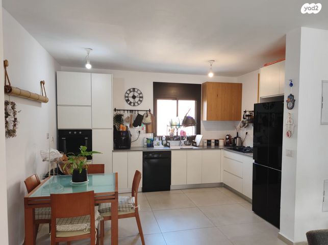 יהודה הלוי 55