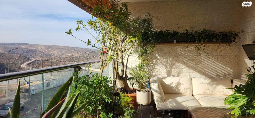 דירה, הרב שך 1, רמת שלמה, ירושלים