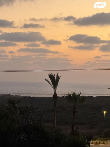 אירוס הארגמן 18