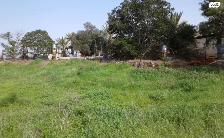 בית פרטי/ קוטג', מקס נורדאו 50, נוף קדומים, בית שאן