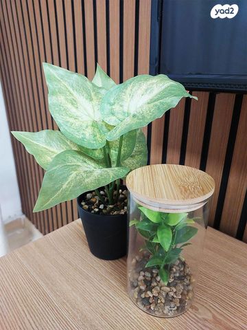 דירה, הביכורים 4, נווה חן, קרית אתא