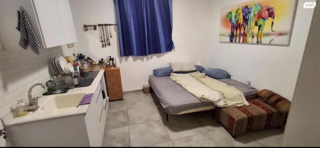 דירת גן, הרצל 167, ב' / צפון מערב העיר, רחובות