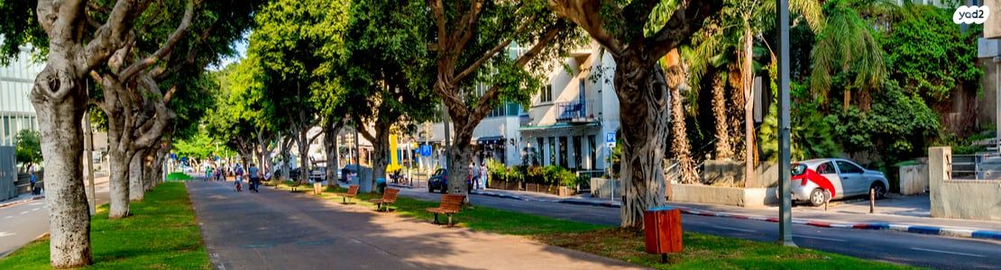 דירה, שדרות רוטשילד 129, לב תל אביב, לב העיר צפון, תל אביב יפו