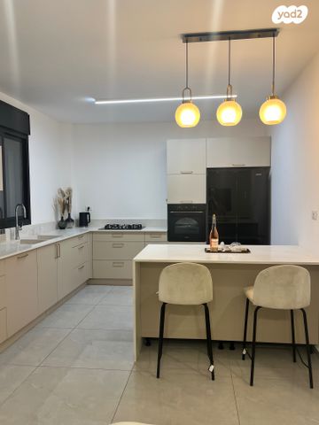 גג/ פנטהאוז, פתח תקווה 23, רמת אפרים, נתניה