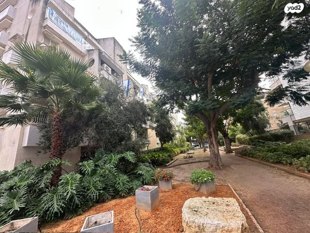 דירה, בן גוריון, פועלים א, כפר סבא