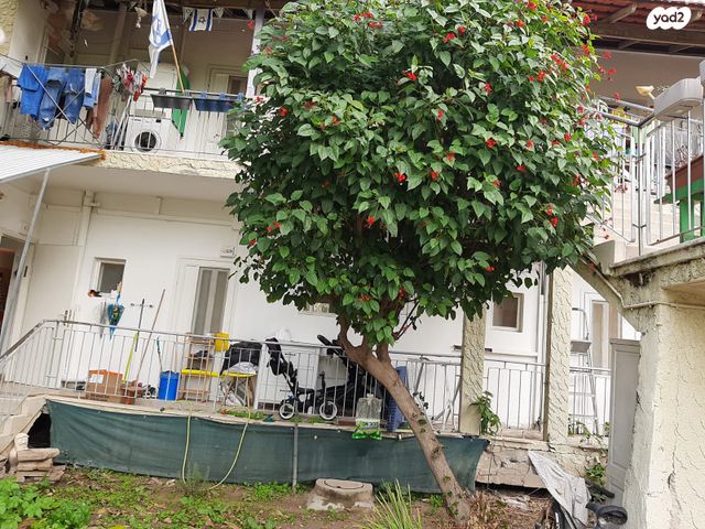 דירה, אשדות יעקב מאוחד