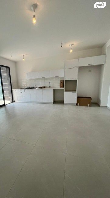 פישמן מיימון 