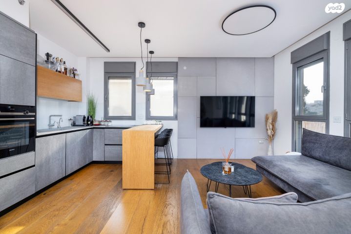 דירה, דגל ישראל, מרכז מערבי, נס ציונה