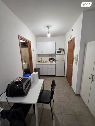 אלכסנדר ינאי 17