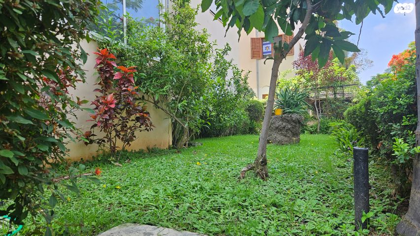 דירה, שדרות רוטשילד, לב תל אביב, לב העיר צפון, תל אביב יפו