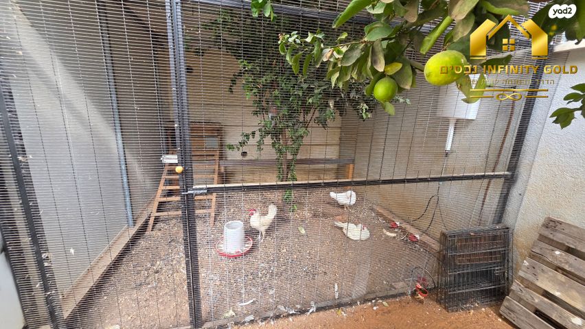 דירת גן, רובין 5, אבני חן, חריש