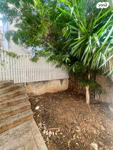 דירת גן, גאולי תימן, רמת אשכול, חיפה