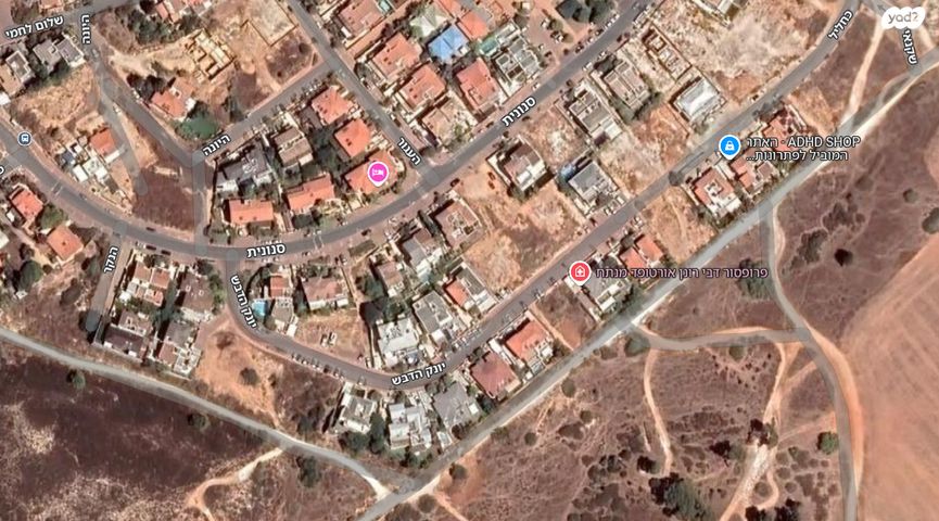 מגרשים, טירת שלום, נס ציונה